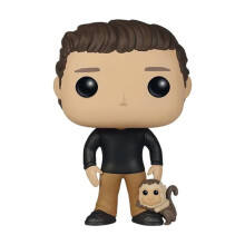 FunkoH : Ross Geller n 262 - Figurine POP! en vinyle (sans boîte).