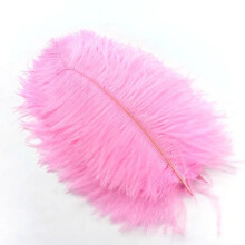 50/100Pcs Colorful Ostrich Feathers Dinning Table Christmas Decoration AccessoriesDIY Needlework Wedding Plume Handicraft20-25CM Pink feathers 100pcs