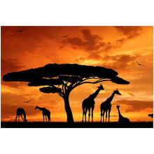 Giraffe auf Leinwand im Sonnenuntergang – Tierkunstdruck, modernes Bild für Wohnzimmer, Schlafzimmer, Badezimmer, 30 x 45 cm