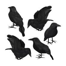 OAVQHLG3B Halloween-dekorationer Sort Krage Halloween-havedekoration Krage sæt med fem dele