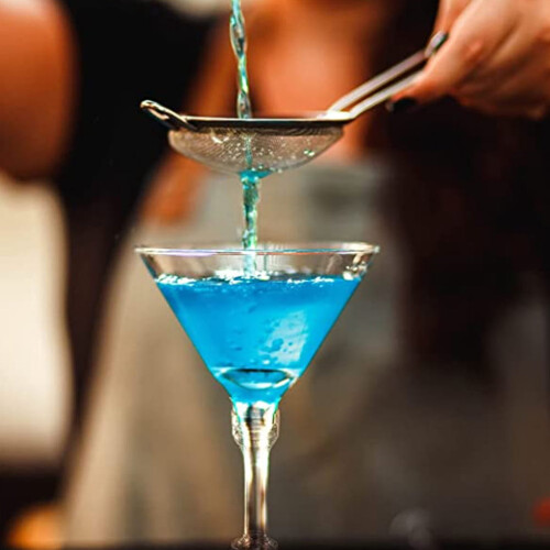 10pcs Transparent Wine Cup Martini Cup Plastic Clear Martini Cup Martini Containers 1