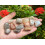 Moonstone Multi Tumbled Stones, 0.75-1" Tumbled Multicolored Moonstone 4