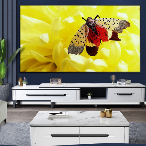 4K οθόνης προβολής πτυσσόμενη φορητή οθόνη προβολής κινηματογράφων ομαλή 1