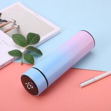 ¡Liquidación de ahorros de San Valentín 2024 de LOOPSUN! Termo de acero inoxidable con pantalla LCD, taza termo inteligente y botella con control