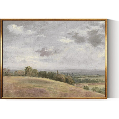 ASPORIC Vintage καμβάς τοίχου, εκτύπωση λουλουδιών σε ρουστίκ λιβάδι με αγριολούλουδα,