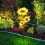 VOSS Solar Dreiflammige LED-Gartenleuchte in Sonnenblumenform 8