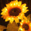 VOSS Solar Dreiflammige LED-Gartenleuchte in Sonnenblumenform 4