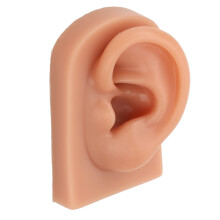 Ear Piercing Practice Model Soft Silicone Realistic Reusable for Earring Display and Acupuncture