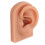 Ear Piercing Practice Model Soft Silicone Realistic Reusable for Earring Display and Acupuncture 1