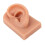 Ear Piercing Practice Model Soft Silicone Realistic Reusable for Earring Display and Acupuncture 4