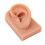 Ear Piercing Practice Model Soft Silicone Realistic Reusable for Earring Display and Acupuncture 5