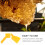 2 Pc Plastic Honey Spatula Extractor Scraper Scraping Tool Multifunction Collecting 5