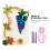 8 τεμάχια κιτ DIY Paper Quilling Kit Craft Curling Tool για την κατασκευή καρτών χαρτιού τέχνης 3