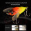 6.5g/5cm Lure Bait Σαλαγκά Noise Temptation Φωτεινό Τζιτζίκι Εκθαμβωτικό Φωσφορίζον Δόλωμα - 3