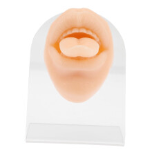 Realistic Silicone Tongue Piercing Practice Model, Reusable Training Tool for Jewelry Display