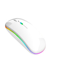 Ultradunne computermuis, draagbare muis met dual-mode draadloze Bluetooth en ergonomische vorm, plug-and-play, stil klikken en oplaadbaar.