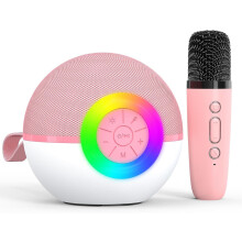 Bluetooth Karaoke Microphone for Kids & Adults, Portable Speaker with 2 Wireless Mics, Gift for Ages 3-12+