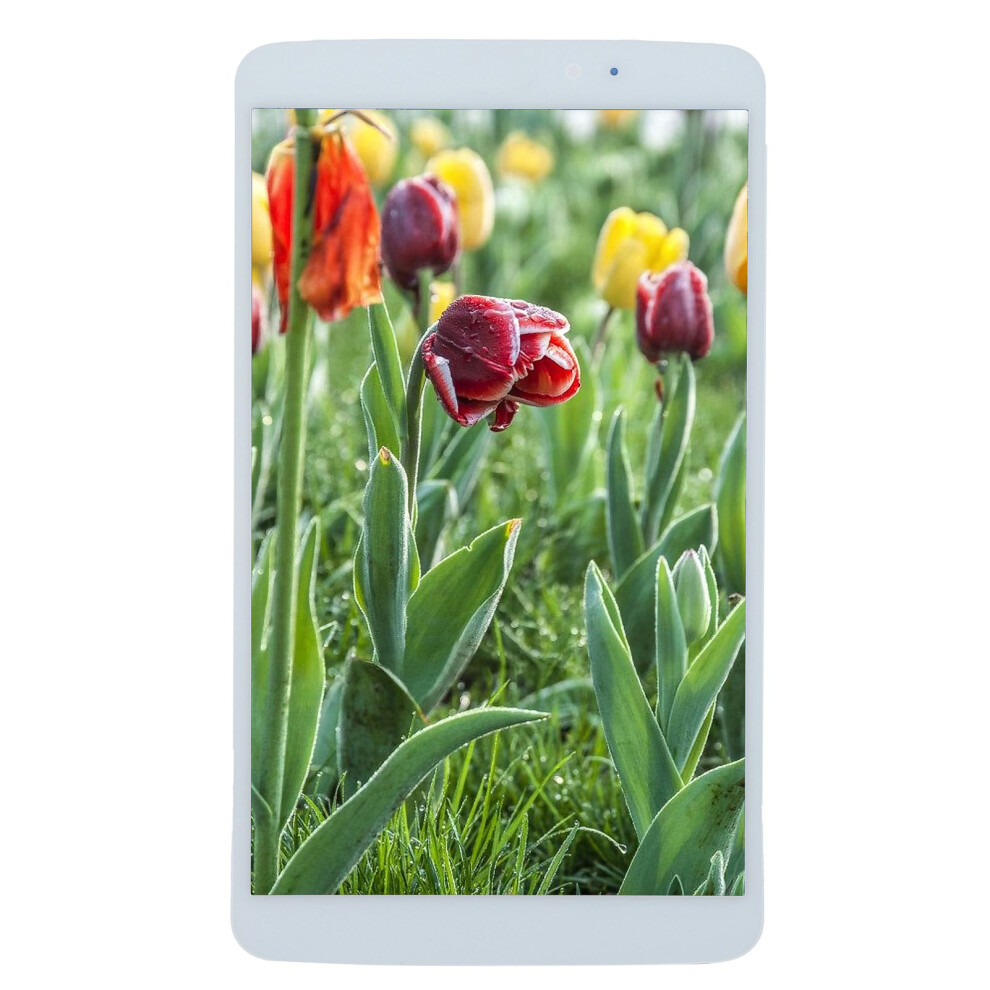 High Quality Lcd Display Replacement For Lg V500 Vivid Picture Ultra Clear Touch Screen Digitizer Assembly Sensitive Touch Strict Quality Control 9147006845660