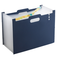 Draagbare documentenorganizer, uitbreidbare mappen van dik polypropyleen, ideaal voor A4-formaat en duurzame constructie voor school.