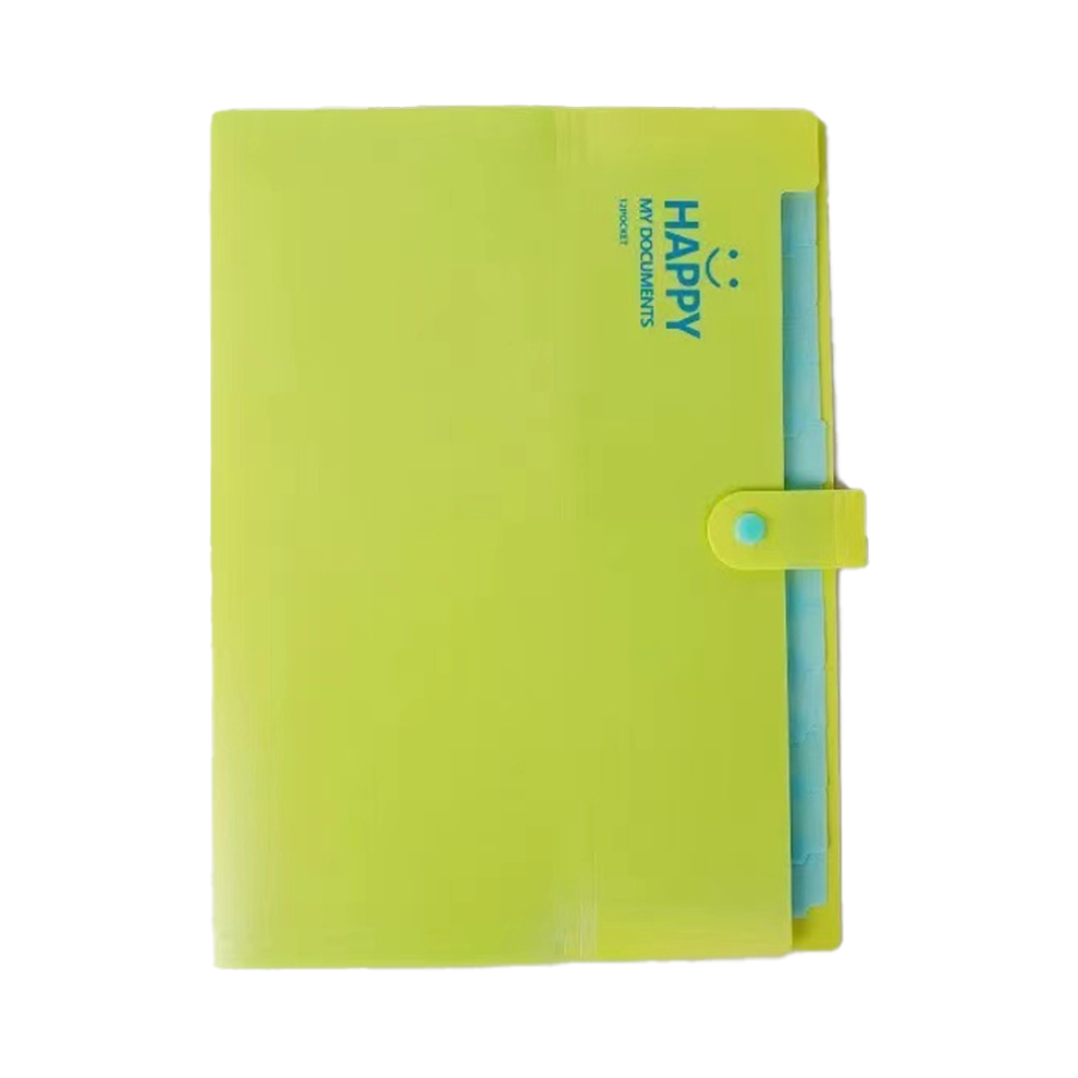 Expandable File Folder For Home Office School, New Document File Organizer With Index Labels, A4 Size Polypropylene Storage, Waterproof And Tear Resis 9176269919283