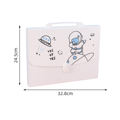 Assistant d'organisation, porte-documents extensible en polypropylène résistant à l'eau pour documents format lettre/A4, chemise format légal, 1