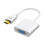 HDMI σε VGA προσαρμογέα επιχρυσωμένο υψηλής ανάλυσης πλήρες HD άνδρα-γυναίκας 1