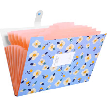 Classeurs extensibles au design élégant, organiseur de documents style accordéon, organiseur de documents portable pour fournitures scolaires et