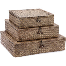 Flat Wicker Bins with Lid - Set of 3 Handwoven Seagrass Storage Baskets for Shelf, Pantry, Closet - Large 14.8"x13" Coffee