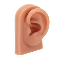 Ear Piercing Practice Model Left Ear, 3D Reusable Silicone with Realistic Skin Texture for Training and Jewelry Display