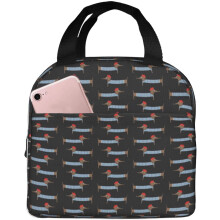 Boîte à lunch isotherme légère et résistante à motif teckel parisien pour femmes et hommes, sac fourre-tout pour le bureau