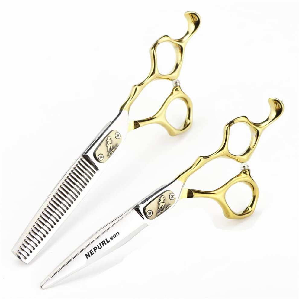 Professional Hairdressing Scissors Set 6.0 Inch with Thinning Shears and Precision Sharp Blades