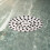 Kitchen Sink Strainer Stainless Steel Anti Rust Floor Drain Filter With Removable Structure Fine Processing Surface Odor Proof Design 2