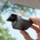 Universal ABS Car Toll Pass Holder with Stable Base and Clear View Design for Windshield 4