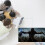 High Speed USB Modem For Multi User Sharing, Superior Coverage With Safe Protection 5