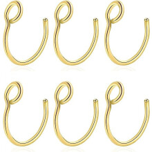 Cterwk 6PCS 316L Stainless Steel Fake Nose Ring Hoop Clip on Non Piercing Lip Rings 20G 8mm for Women Men