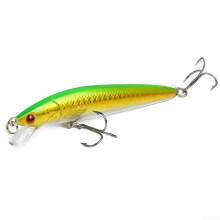 Minnow Fishing Lure 10cm 9g Hard Bait with Realistic Swim for Bass Pike Freshwater