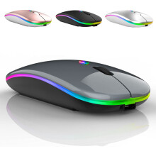 Ergonomische oplaadbare muis, energiebesparend met automatische slaapstand, stille klik voor comfort de hele dag door (regenboog)