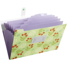 Organizzatore di documenti, organizer per file a fisarmonica con base espandibile, elegante motivo floreale, design portatile con pulsante per