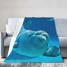 Couverture polaire douce et légère à motif baleine béluga bleue, 203 x 152 cm - Idée cadeau bohème pour filles, femmes, garçons et hommes