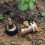 Absperrkugel aus massivem Messing für Gartenschläuche 3/4 7