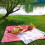 2 cestini da picnic in vimini stile rustico con coperchio e manico e fodere interne per picnic, feste e barbecue 4