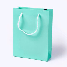 Lot de 10 sacs en papier kraft avec poignées, sacs cadeaux, sacs à provisions, rectangulaires, bleu turquoise, 20 x 15 x 6,2 cm