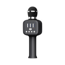 WRKEKC Bluetooth Speaker with Capacitance Wireless Mic, RGB Lights, Karaoke Audio/Video, Compatible with In-S Series, Black