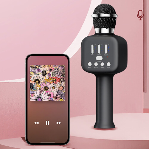 Ηχείο Bluetooth WRKEKC με ασύρματο μικρόφωνο χωρητικότητας, φώτα RGB, ήχο/βίντεο καραόκε, 1