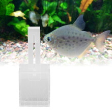 Transparente Acryl-Fischglas hängender Wasserpflanzen-Topf mit Haken