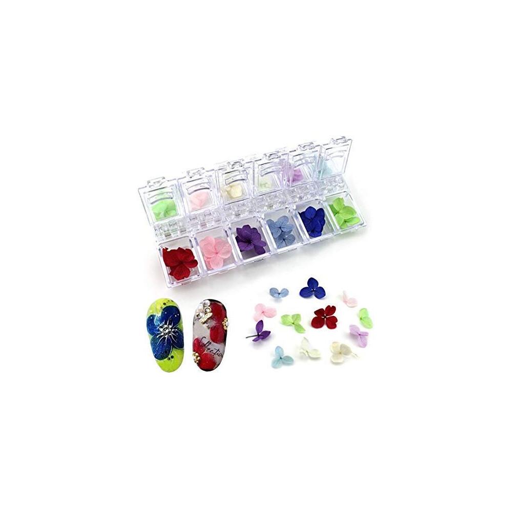Real Dried Hydrangea Nail Art Decorations, 12 Vibrant Colors Ready to Use for Crafts and Nails