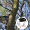 1 Paire Crampons 5 Pour Chaussures De Jardin D'Arbre 4