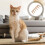 2Pièces Échelles Pour Chats En Bois Beige Design Antidérapant 9