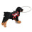 Blind hundesele for hunder på 4–10 kg 5