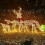 Διακοσμήσεις εξωτερικού χώρου Banghong Reindeer, Χριστουγεννιάτικα φωτισμένα ελάφια, 5